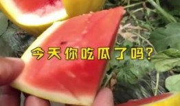 17吃瓜fun,揭秘娱乐圈那些不为人知的幕后故事